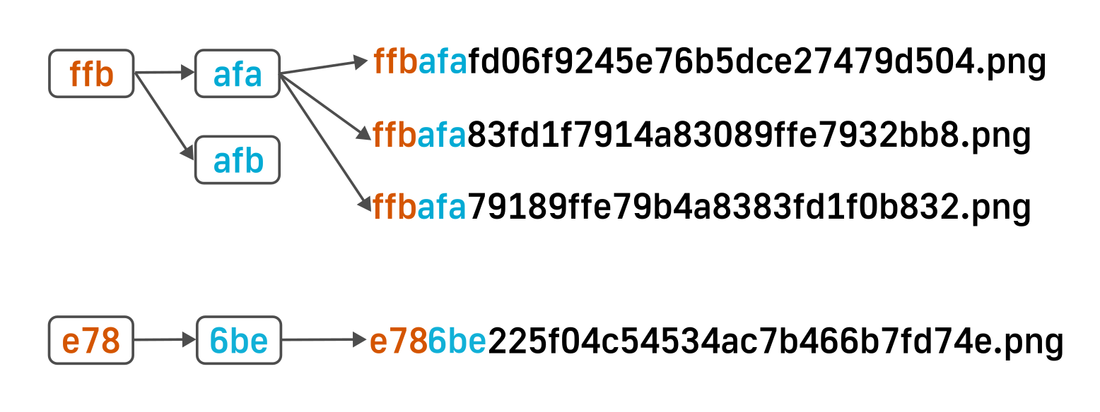 File and folder structure