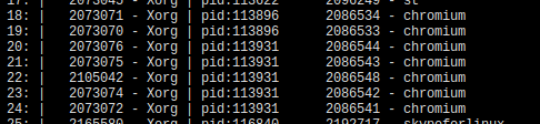 All connections from Chromium to
Xorg