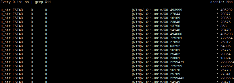 X11 TCP connectino list